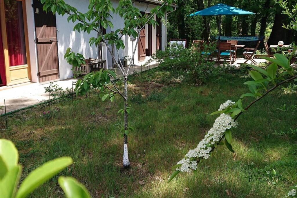 Villa Azurine Andernos Les Bains 외부 사진